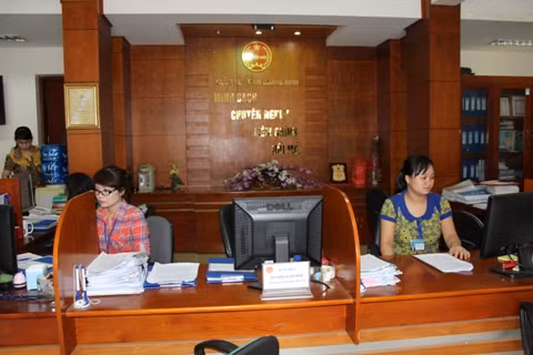 Quang Ninh puts forth solutions to deal with tax arrears ảnh 1 Quang Ninh puts forth solutions to deal with tax arrears ảnh 1