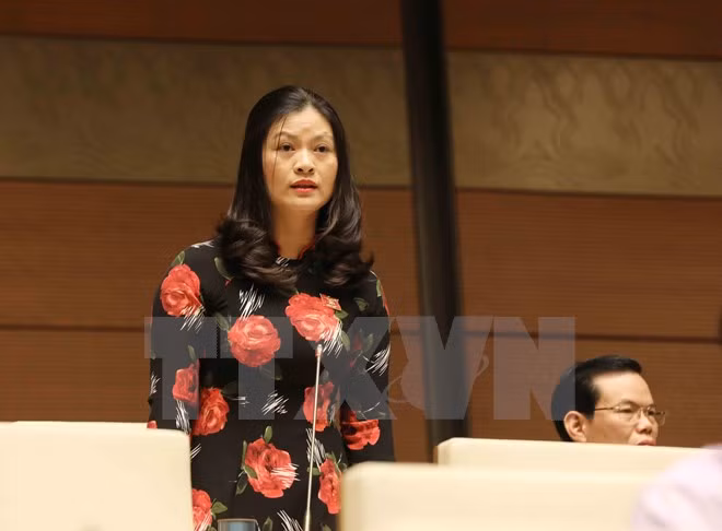 Lawmakers discuss crime combat on November 6 ảnh 1