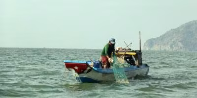 Vietnam seafood mulls action on EU warning ảnh 1 Vietnam seafood mulls action on EU warning ảnh 1