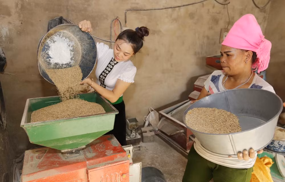 UNDP project aims to accelerate socio-economic development in ethnic minority areas ảnh 1