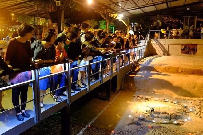 “Decoding Thang Long Imperial Citadel” night tour thrills tourists ảnh 2