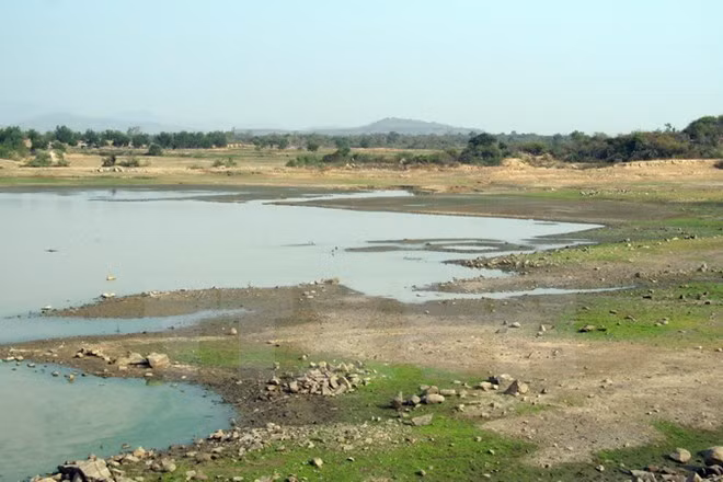 Reservoirs in Binh Dinh dry up ảnh 1