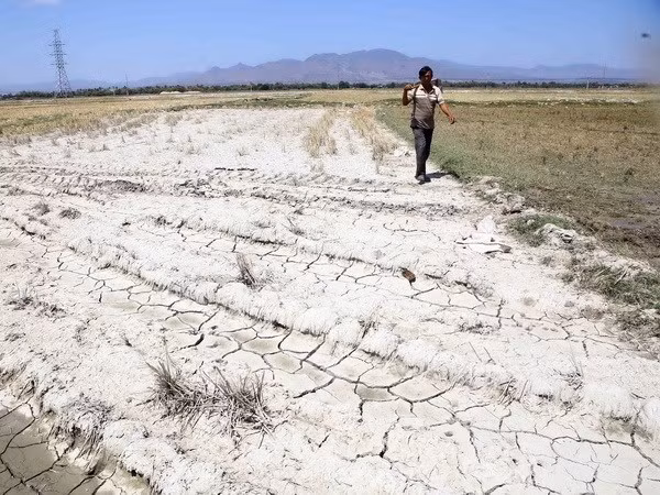 Solutions to drought in central provinces sought ảnh 1