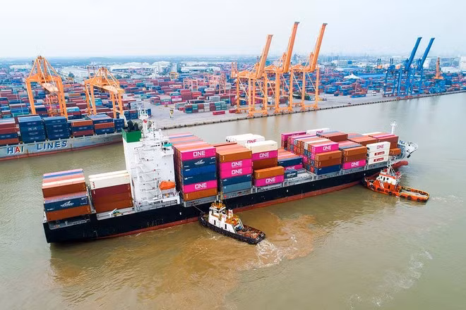 Maritime giant to raise chartered capital to expand business ảnh 3