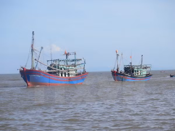 Thailand detains five Vietnamese fishing boats ảnh 1