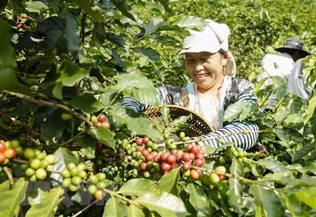 Workshop spotlights business chances in Vietnam for Belgian firms ảnh 1