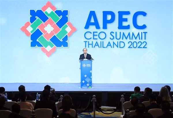 President highlights requirements of future trade, investment at APEC CEO Summit ảnh 1