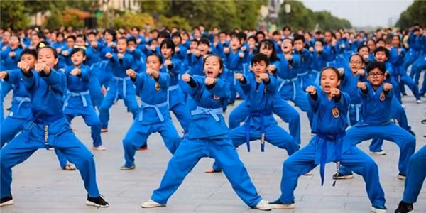 Algeria hosts 20th national Vovinam championship ảnh 1
