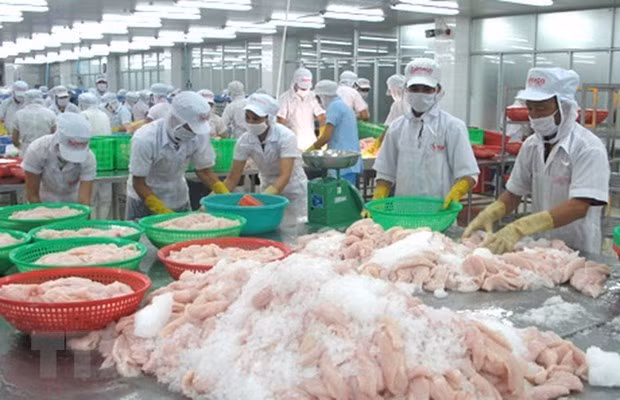 Vietnam likely among Asia’s fastest growing economies next year: WSJ ảnh 1
