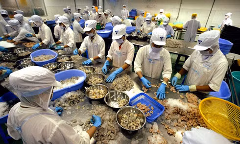Vietnamese businesses seeking to further penetrate South Africa ảnh 1