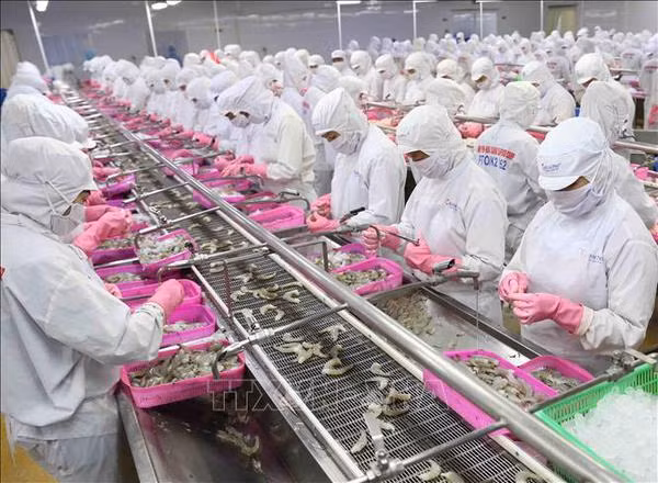 Vietnam sees impressive growth in aquatic exports to China ảnh 1