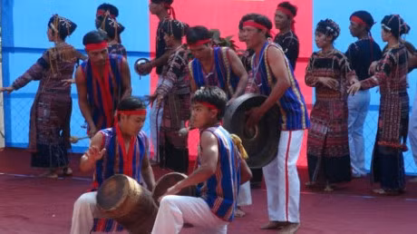 Drum-gong performance recognised as nat'l intangible cultural heritage ảnh 1