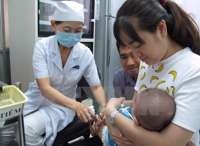 Immunisation Week raises awareness of vaccination’s importance ảnh 1