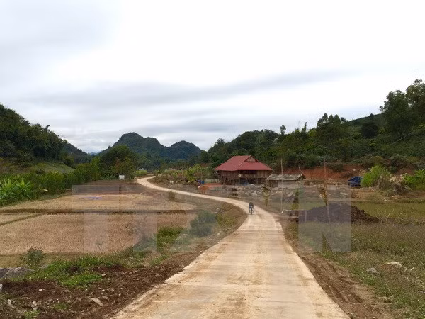 Rural transport development helps promote poverty reduction ảnh 1