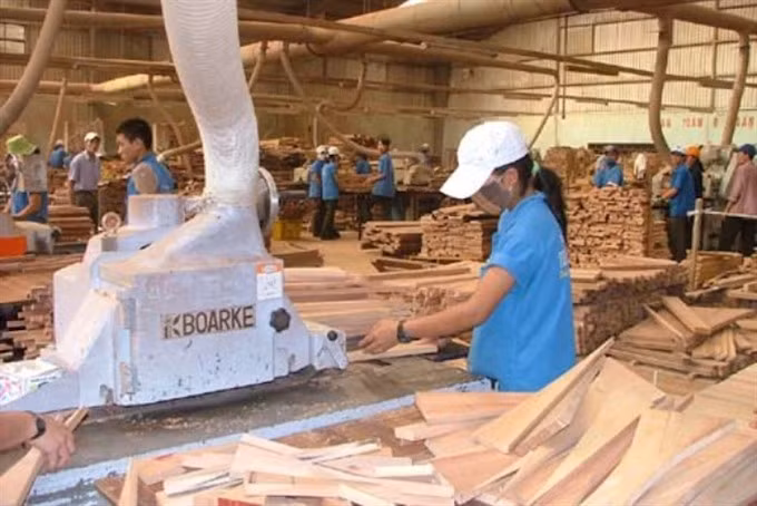 Truong Thanh Furniture plans 44.4 million USD share issue in Q3 ảnh 1