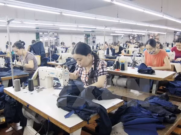 Dong Nai’s registered capital hits record ảnh 1