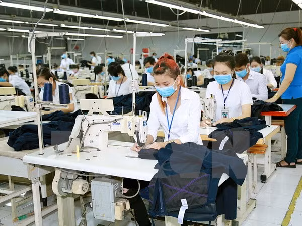 Vinatex invests in technology to expand market share ảnh 1
