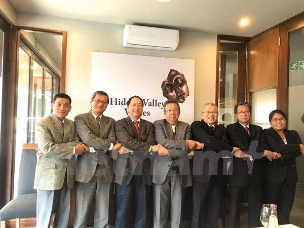 Vietnam successfully chairs ASEAN Committee in South Africa ảnh 1