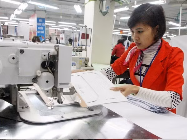 Experts, entrepreneurs to join Vietnam business development forum ảnh 1