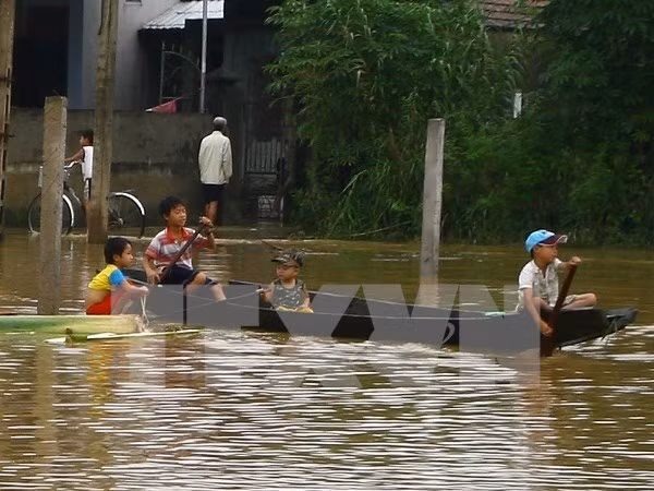 Seminar discusses child protection amid climate change ảnh 1