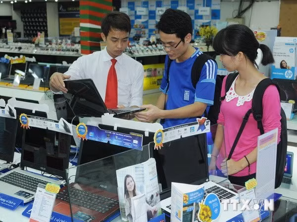 E-commerce deemed lucrative market in Vietnam ảnh 1