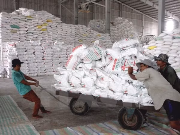 VN’s rice export price hits 3-year high ảnh 1
