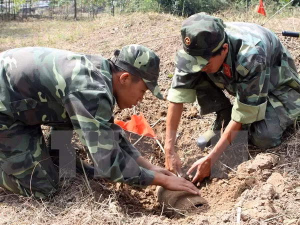 Vietnam’s military engineers assessed for peacekeeping readiness ảnh 1