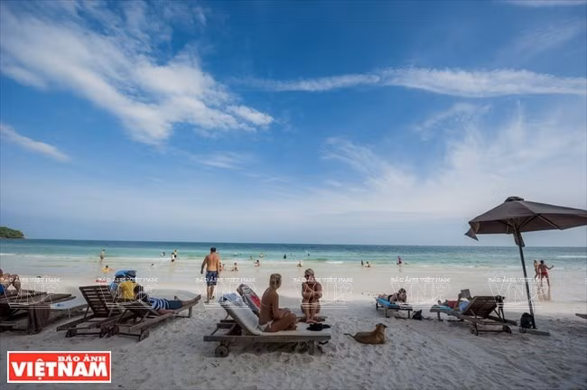 Phu Quoc island draws tourism developers ảnh 1