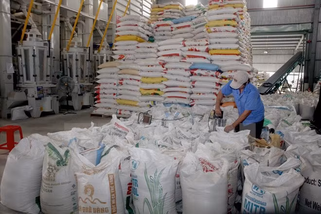 Rice exports to Russia shoots up 700 percent ảnh 1