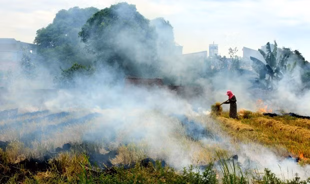 Vietnam determined to reduce GHG emissions by 9 percent in 2030 ảnh 1