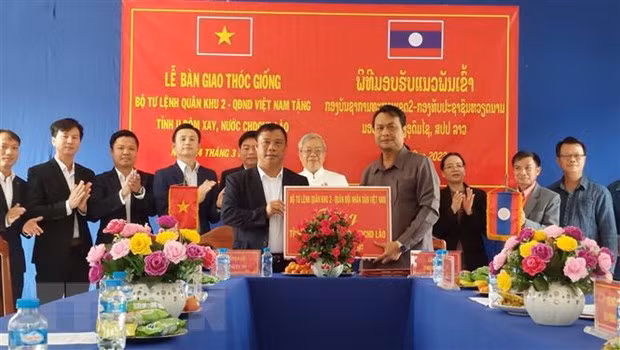 Vietnam provides rice seeds to Lao province ảnh 1