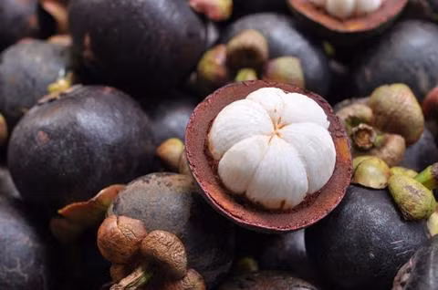 Indonesia looks to boost export of horticultural products ảnh 1