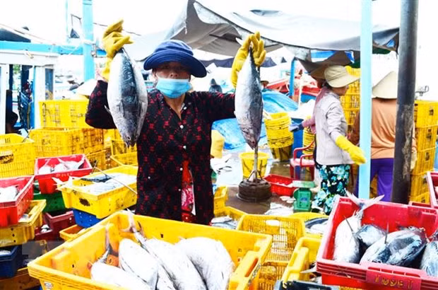 Tuna exporters aiming for smaller markets ảnh 1