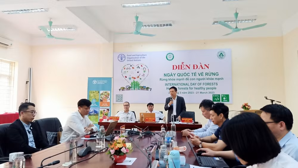 Forum marks International Day of Forests ảnh 2