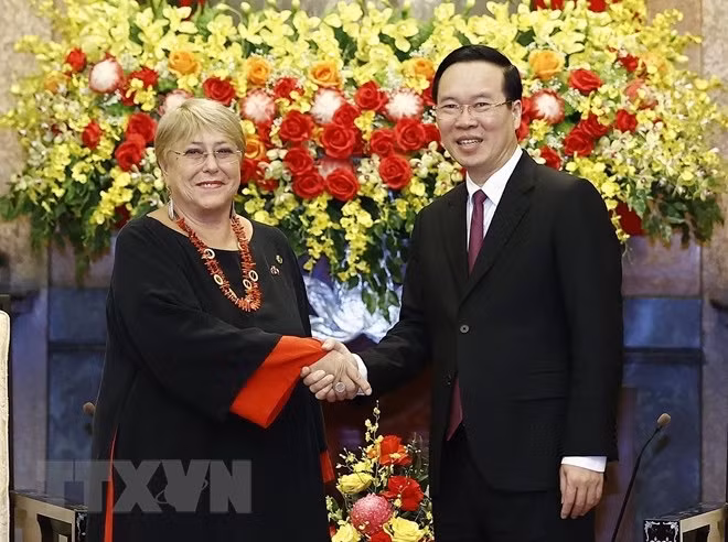 President Vo Van Thuong hosts former Chilean President ảnh 1