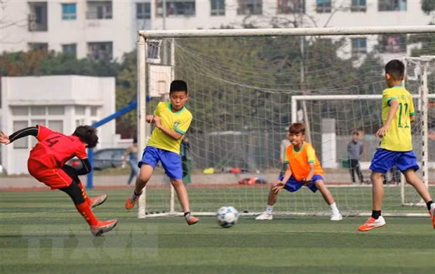 Steering committee for 13th ASEAN School Games set up ảnh 1