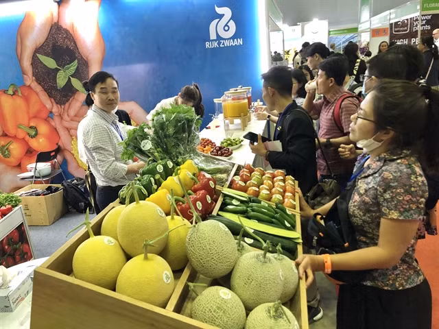 Middle East, North Africa lucrative markets for fruit, vegetable exports ảnh 1