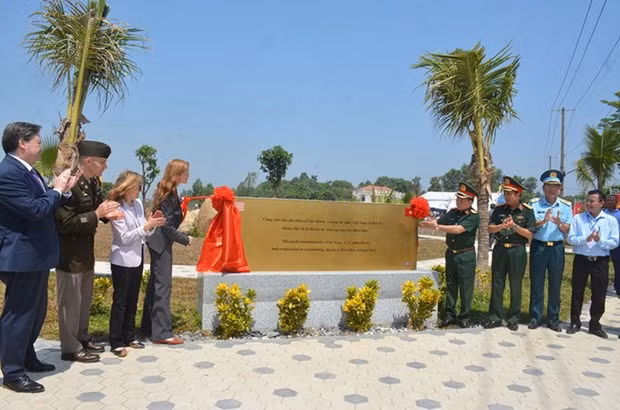 Nearly 3ha of dioxin-contaminated land at Bien Hoa air base treated ảnh 2