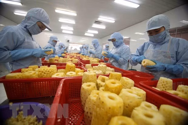Vietnam-Laos trade turnover hit 99.2 million USD in January ảnh 1