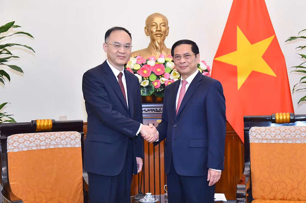 Leaders of Ministry of Foreign Affairs receive, hold talks with Chinese official ảnh 1