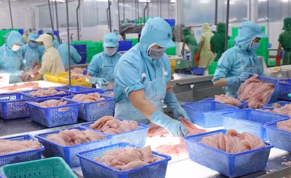 Tra fish exports predicted to recover from third quarter ảnh 1