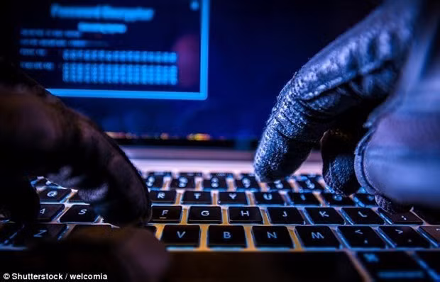 More than 1,600 cyber attacks handled in February ảnh 1