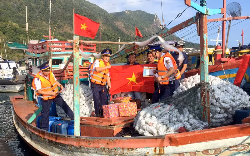 Vietnam active in IUU combat ảnh 1