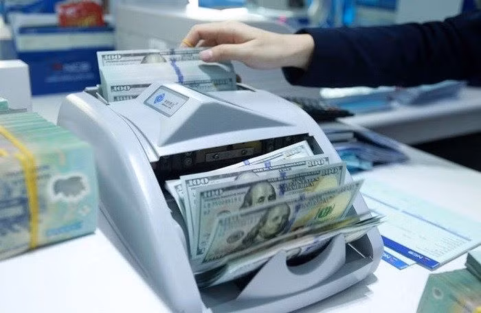Deputy PM urges hastened procedures for cancelled IDA loans ảnh 1
