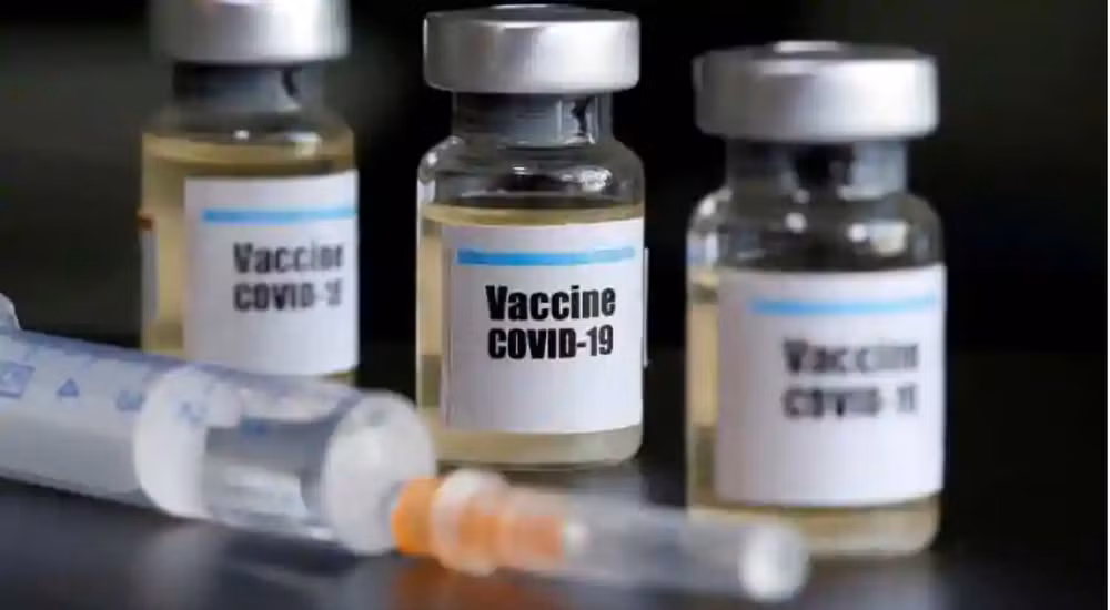 Top legislator asks for EU's support in accessing COVID-19 vaccines ảnh 1