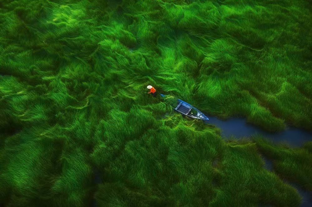 Bird's eye view photos featuring Vietnam’s beauty impress international viewers ảnh 1