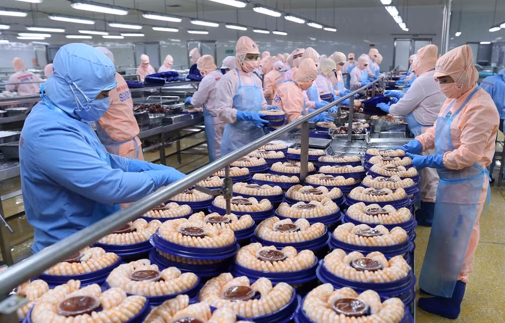 Vietnam looks to expand aquatic exports amid COVID-19 pandemic ảnh 1