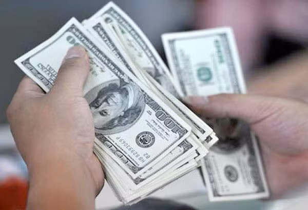 Remittances to Philippines hit new record in 2018 ảnh 1