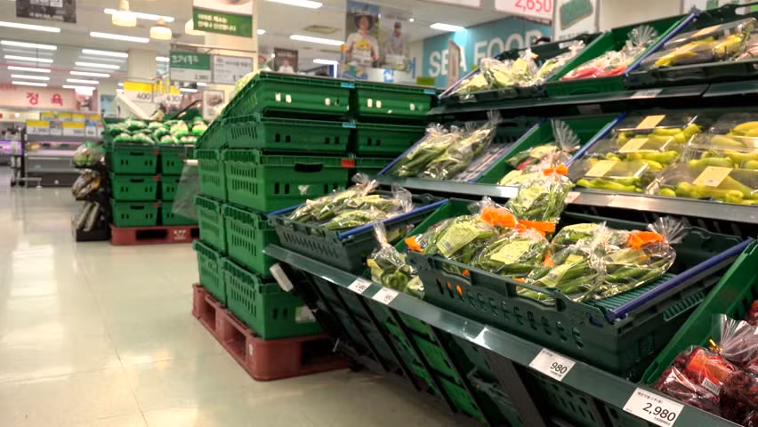 RoK seeks to make inroads into ASEAN agricultural market ảnh 1