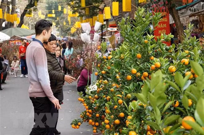 Foreign diplomats extend Tet greetings to Vietnamese people ảnh 1